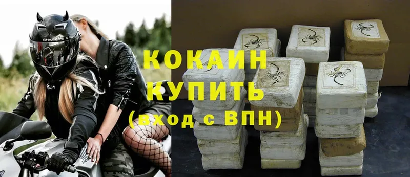 Cocaine 99%  где купить   Белая Холуница 